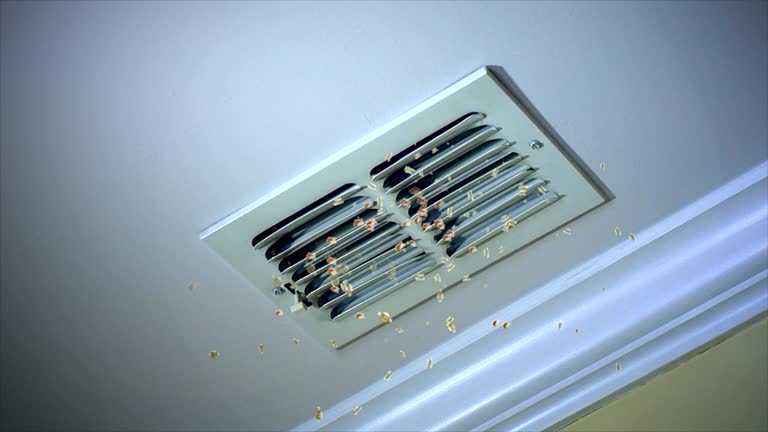 Best Best Air Duct Cleaning Company  in St Cloud, FL